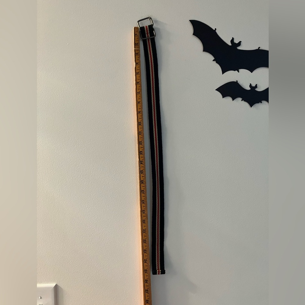 Black and Orange Belt with Silver Buckle